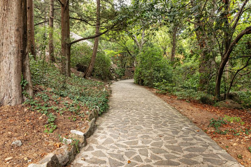Footpath Paving Service
